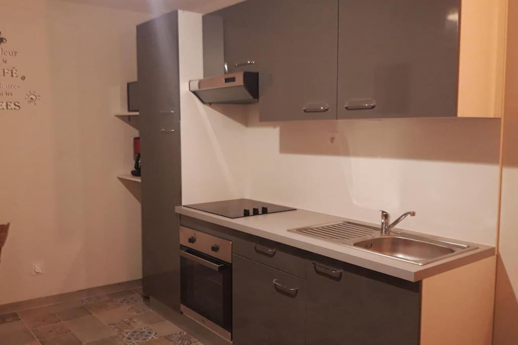 Logement Neuf Et Cosy Proche Centre Ville Chinon Ngoại thất bức ảnh