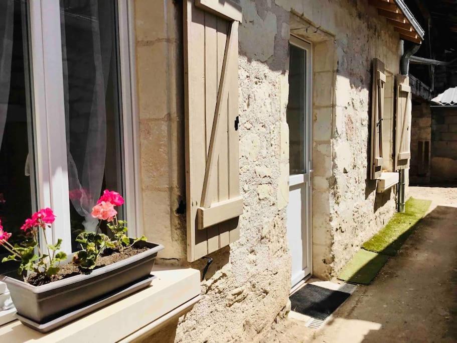 Logement Neuf Et Cosy Proche Centre Ville Chinon Ngoại thất bức ảnh