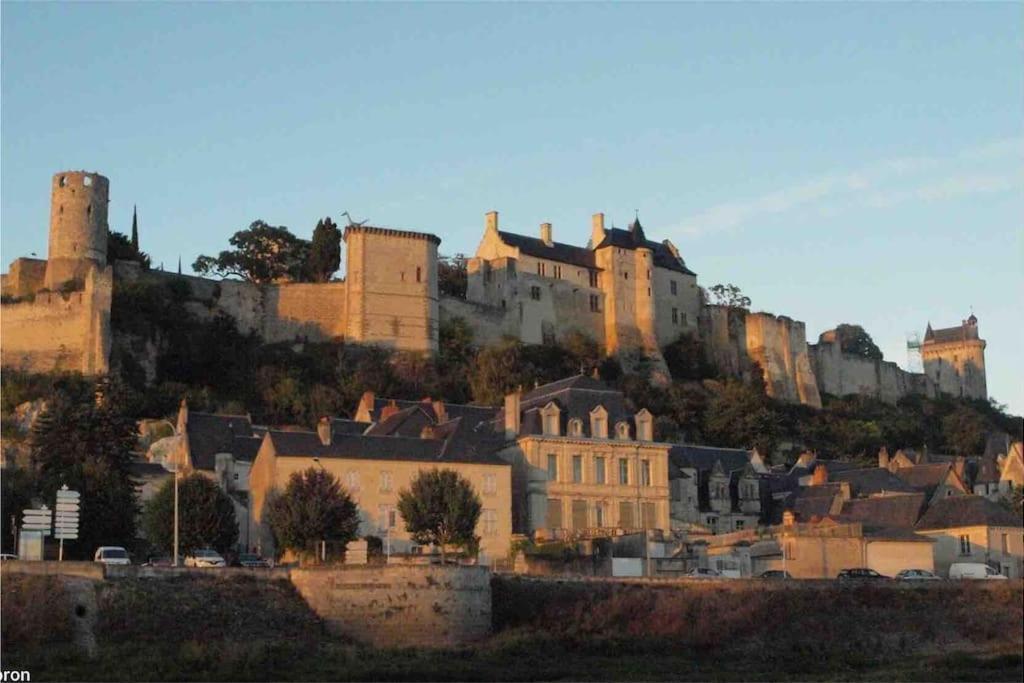 Logement Neuf Et Cosy Proche Centre Ville Chinon Ngoại thất bức ảnh